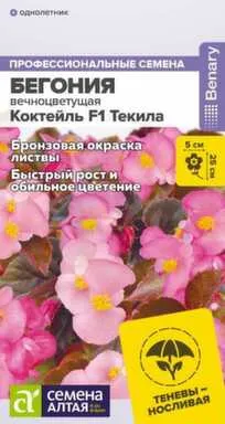 Купить Цветы Бегония Коктейль Текила вечноцветущая, Семена Алтая в интернет-магазине Akvilon.kz