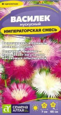 Купить Цветы Василек Императорская Смесь мускусный 0,2 гр, Семена Алтая в интернет-магазине Akvilon.kz