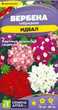 Купить Цветы Вербена Идеал гибридная 0,05 гр, Семена Алтая в интернет-магазине Akvilon.kz