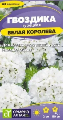 Купить Цветы Гвоздика турецкая Белая Королева, двулетник, 0,1 гр, Семена Алтая в интернет-магазине Akvilon.kz