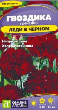 Купить Цветы Гвоздика гренадин Леди в черном, двулетник, 0,05 гр, Семена Алтая в интернет-магазине Akvilon.kz