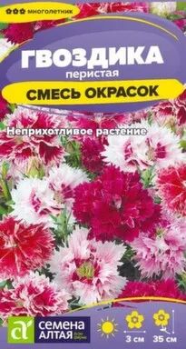 Купить Цветы Гвоздика перистая Смесь окрасок, многолетник, 0,1 гр, Семена Алтая в интернет-магазине Akvilon.kz