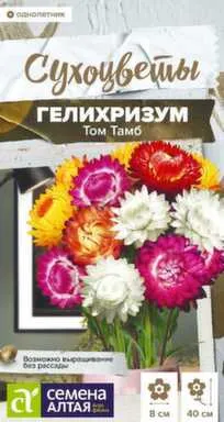 Купить Цветы Гелихризум Том Тамб, Сухоцветы, 0,1 гр, Семена Алтая в интернет-магазине Akvilon.kz