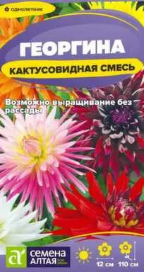 Купить Цветы Георгина Кактусовидная смесь 0,1 гр, Семена Алтая в интернет-магазине Akvilon.kz