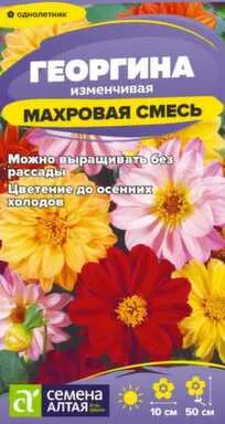 Купить Цветы Георгина Махровая смесь окрасок 0,2 гр, Семена Алтая в интернет-магазине Akvilon.kz