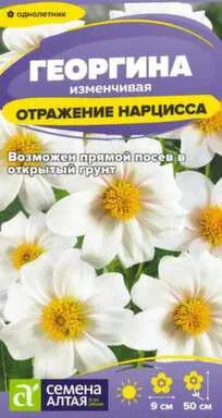 Купить Цветы Георгина Отражение Нарцисса 0,2 гр, Семена Алтая в интернет-магазине Akvilon.kz