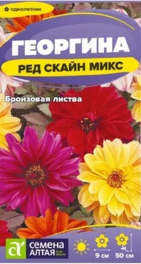 Купить Цветы Георгина Ред Скайн Микс 0,2 гр, Семена Алтая в интернет-магазине Akvilon.kz Купить Цветы Георгина Ред Скайн Микс 0,2 гр, Семена Алтая в интернет-магазине Akvilon.kz