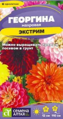 Купить Цветы Георгина Экстрим 0,2 гр, Семена Алтая в интернет-магазине Akvilon.kz