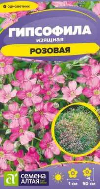 Купить Цветы Гипсофила Изящная Розовая 0,05 гр, Семена Алтая в интернет-магазине Akvilon.kz