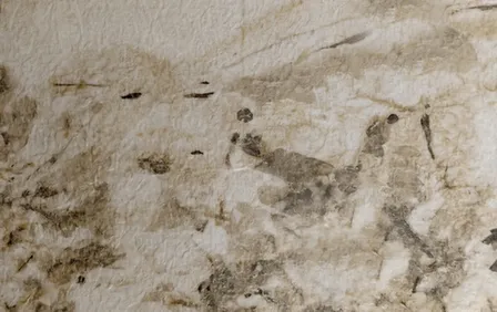 Купить Гибкий Мрамор 8045A 2800x1220x2,8мм в интернет-магазине Akvilon.kz