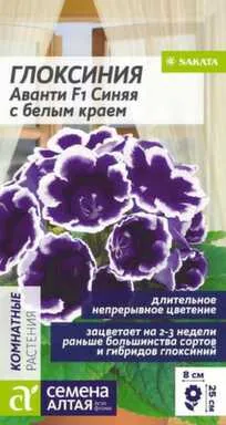 Купить Цветы Глоксиния Аванти Синяя с белым краем, Семена Алтая в интернет-магазине Akvilon.kz Купить Цветы Глоксиния Аванти Синяя с белым краем, Семена Алтая в интернет-магазине Akvilon.kz