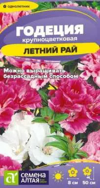 Купить Цветы Годеция Летний Рай 0,05 гр, Семена Алтая в интернет-магазине Akvilon.kz