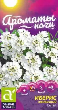 Купить Цветы Иберис Белый зонтичный, Ароматы ночи, 0,1 гр, Семена Алтая в интернет-магазине Akvilon.kz