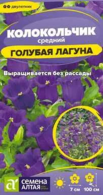Купить Цветы Колокольчик средний Голубая Лагуна, двулетник, 0,03 гр, Семена Алтая в интернет-магазине Akvilon.kz