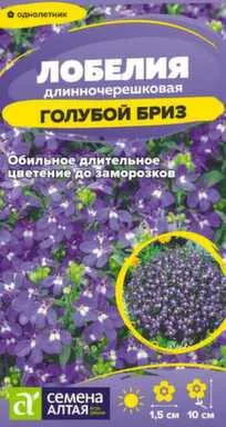 Купить Цветы Лобелия Голубой Бриз длинночерешковая 0,02 гр, Семена Алтая в интернет-магазине Akvilon.kz