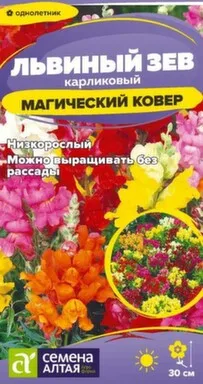 Купить Цветы Львиный зев Магический Ковер 0,1 гр, Семена Алтая в интернет-магазине Akvilon.kz