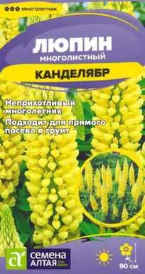 Купить Цветы Люпин Канделябр, многолетник, 0,3 гр, Семена Алтая в интернет-магазине Akvilon.kz