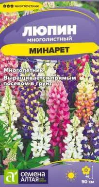 Купить Цветы Люпин Минарет, многолетник, 0,3 гр, Семена Алтая в интернет-магазине Akvilon.kz