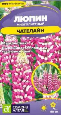 Купить Цветы Люпин Чателайн, многолетник, 0,3 гр, Семена Алтая в интернет-магазине Akvilon.kz