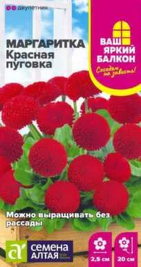 Купить Цветы Маргаритка Красная Пуговка помпонная, Ваш яркий балкон, 0,02 гр, Семена Алтая в интернет-магазине Akvilon.kz
