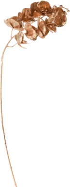 Купить Ветвь искусственная, 16x8x99 см, Koopman в интернет-магазине Akvilon.kz