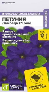 Купить Цветы Петуния Ламбада Блю, Семена Алтая в интернет-магазине Akvilon.kz