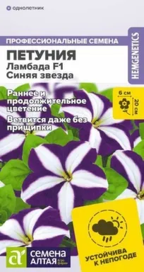 Купить Цветы Петуния Ламбада Синяя Звезда, Семена Алтая в интернет-магазине Akvilon.kz