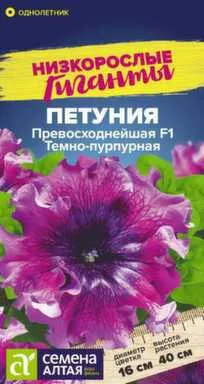 Купить Цветы Петуния Превосходнейшая Темно-пурпурная, Семена Алтая в интернет-магазине Akvilon.kz
