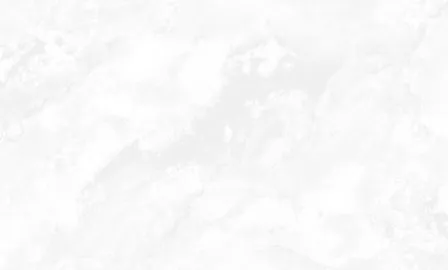 Купить Обои виниловые на флизелиновой основе TH4502, 1,06x10 м, Perfetto в интернет-магазине Akvilon.kz