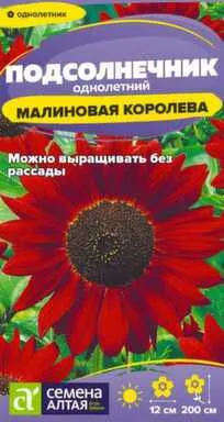 Купить Цветы Подсолнечник Малиновая Королева 0,3 гр, Семена Алтая в интернет-магазине Akvilon.kz