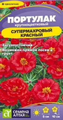 Купить Цветы Портулак Супермахровый Красный 0,02 гр, Семена Алтая в интернет-магазине Akvilon.kz Купить Цветы Портулак Супермахровый Красный 0,02 гр, Семена Алтая в интернет-магазине Akvilon.kz