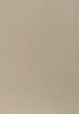 Купить Бамбуковая панель кофе с молоком 2800x1220x5мм в интернет-магазине Akvilon.kz