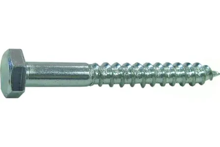 Купить Болт сантехнический DIN 571 8x100 (белый цинк 2 шт), Стройбат в интернет-магазине Akvilon.kz