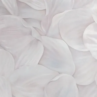 Купить Обои Lepestok винил/флизелин (тиснённые) 1,06x10 база в интернет-магазине Akvilon.kz