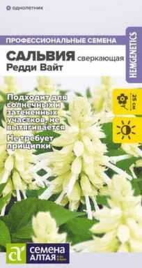 Купить Цветы Сальвия Редди Вайт сверкающая, Семена Алтая в интернет-магазине Akvilon.kz