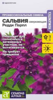 Купить Цветы Сальвия Редди Парпл сверкающая, Семена Алтая в интернет-магазине Akvilon.kz