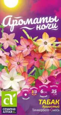 Купить Цветы Табак Тинкербелл душистый, Ароматы ночи, 0,02 гр, Семена Алтая в интернет-магазине Akvilon.kz