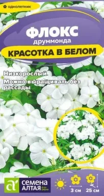 Купить Цветы Флокс Красотка в белом друммонда 0,05 гр, Семена Алтая в интернет-магазине Akvilon.kz