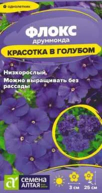 Купить Цветы Флокс Красотка в голубом друммонда 0,05 гр, Семена Алтая в интернет-магазине Akvilon.kz