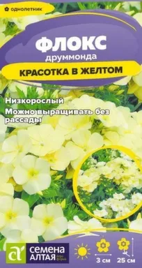 Купить Цветы Флокс Красотка в желтом друммонда 0,05 гр, Семена Алтая в интернет-магазине Akvilon.kz Купить Цветы Флокс Красотка в желтом друммонда 0,05 гр, Семена Алтая в интернет-магазине Akvilon.kz