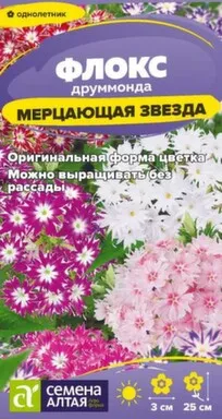 Купить Цветы Флокс Мерцающая Звезда 0,1 гр, Семена Алтая в интернет-магазине Akvilon.kz