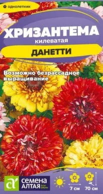 Купить Цветы Хризантема Данетти килеватая 0,1 гр, Семена Алтая в интернет-магазине Akvilon.kz