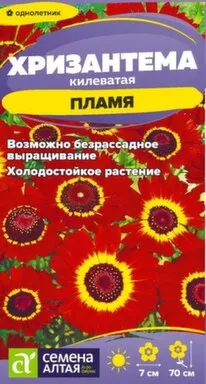 Купить Цветы Хризантема Пламя килеватая 0,1 гр, Семена Алтая в интернет-магазине Akvilon.kz