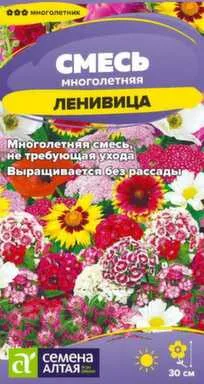 Купить Цветы Смесь Ленивица многолетняя низкая, многолетник, 0,3 гр, Семена Алтая в интернет-магазине Akvilon.kz