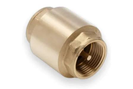 Купить Клапан обратный пружинный 1 1/4" ВР-ВР Aqualink в интернет-магазине Akvilon.kz