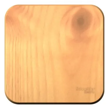 Купить Выключатель в сборе одноклавишный о/у 10АХ BLANCA ясень Shneider Electric Ясень в интернет-магазине Akvilon.kz