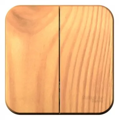 Купить Выключатель в сборе двухклавишный о/у 10А BLANCA ясень Shneider Electric Ясень в интернет-магазине Akvilon.kz