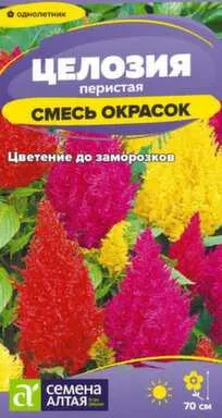 Купить Цветы Целозия Перистая Смесь 0,05 гр, Семена Алтая в интернет-магазине Akvilon.kz