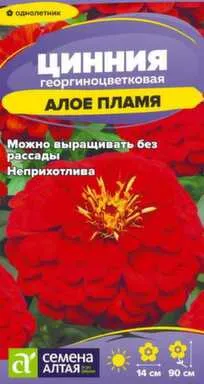 Купить Цветы Цинния Алое пламя георгиноцветковая 0,2 гр, Семена Алтая в интернет-магазине Akvilon.kz