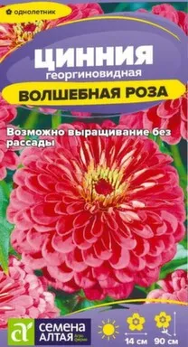 Купить Цветы Цинния Волшебная Роза 0,2 гр, Семена Алтая в интернет-магазине Akvilon.kz